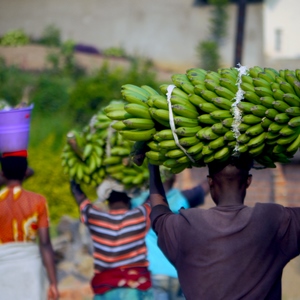Des personnes portent des objets sur la tête dont un homme avec un régime de bananes - Rwanda  - collection de photos clin d'oeil, catégorie portraits